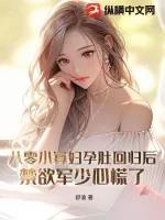《八零小寡妇孕肚回归后，禁欲军少心慌了》小说封面