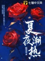 《夏夜潮热》小说封面