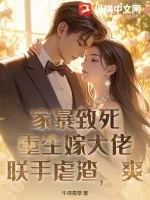 《家暴致死?重生嫁大佬联手虐渣,爽!》小说封面