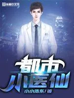 《都市小医仙》小说封面