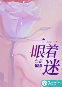 《一眼着迷》小说封面