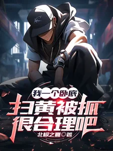 《我一个卧底，扫黄被抓很合理吧》小说封面