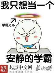 《我只想当一个安静的学霸》小说封面