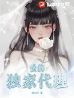 《爱的独家代理》小说封面