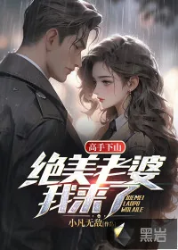 《高手下山：绝美老婆我来了》小说封面