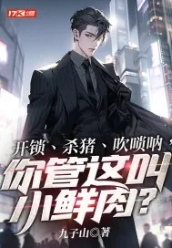 《开锁、杀猪、吹唢呐，你管这叫小鲜肉？》小说封面