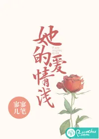 《她的爱情浅》小说封面