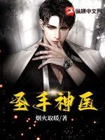 《圣手神医》小说封面
