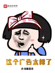 《这个广告太棒了》小说封面