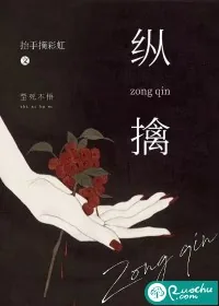 《纵擒》小说封面