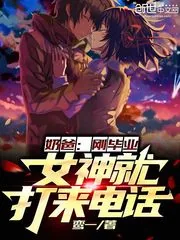 《奶爸：刚毕业，女神就打来电话》小说封面