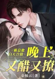 《霸总他白天冷傲，晚上又醋又撩》小说封面