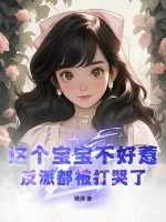 《这个宝宝不好惹,反派都被打哭了》小说封面