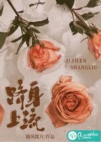 《跻身上流》小说封面