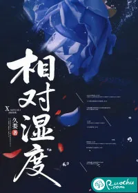 《相对湿度》小说封面