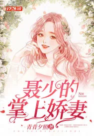 《聂少的掌上娇妻》小说封面