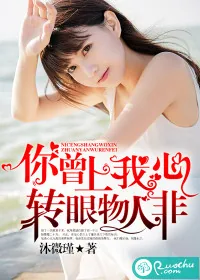 《你曾上我心,转眼物人非》小说封面