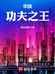 《华娱:功夫之王》小说封面