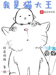 《我是猫大王》小说封面