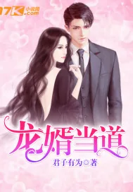 《龙婿当道》小说封面