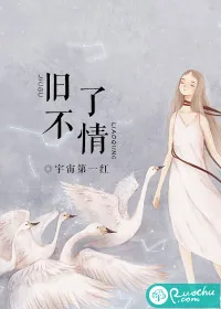 《旧不了情》小说封面