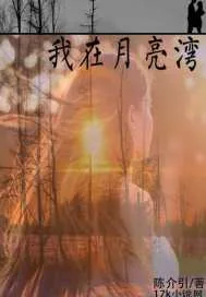 《我在月亮湾》小说封面