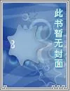 《天启风云》小说封面