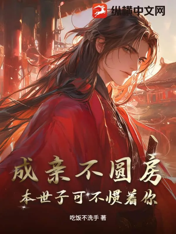 《成亲不圆房，本世子可不惯着你》小说封面