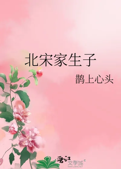《北宋家生子》小说封面