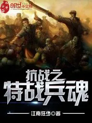 《抗战之特战兵魂》小说封面