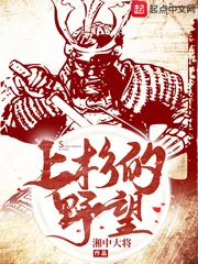 《上杉的野望》小说封面