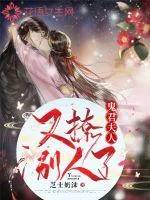 《鬼君夫人她又撩别人了》小说封面