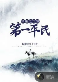 《穿越之大宣第一平民》小说封面