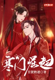 《寒门崛起》小说封面