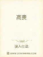 《高贵》小说封面