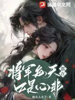《将军每天都在口是心非》小说封面