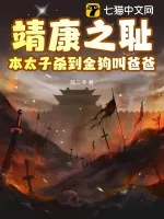 《靖康之耻?本太子杀到金狗叫爸爸》小说封面