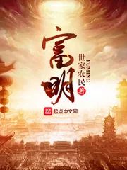 《富明》小说封面