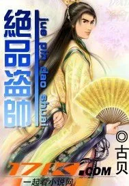 《绝品盗帅》小说封面