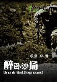《醉卧沙场》小说封面