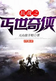 《抗战之丐世奇侠》小说封面