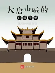 《大唐山贼的日常生活》小说封面