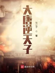 《大唐逆天子》小说封面