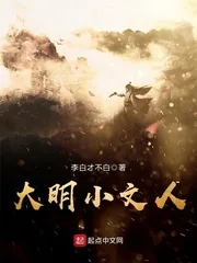 《大明小文人》小说封面