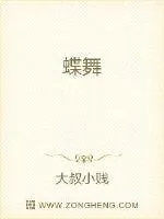 《蝶舞宋疆》小说封面
