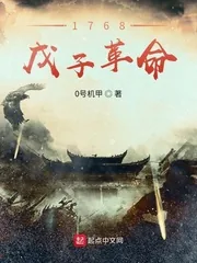 《1768戊子革命》小说封面