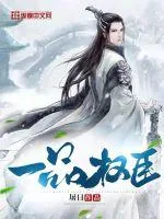 《一品权臣》小说封面