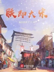 《朕即大宋》小说封面