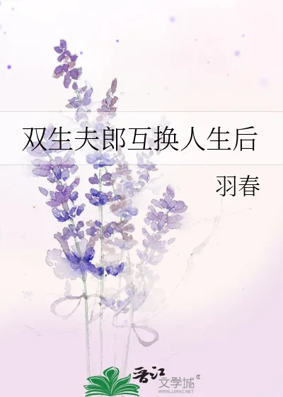 《双生夫郎互换人生后》小说封面