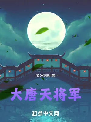 《大唐天将军》小说封面